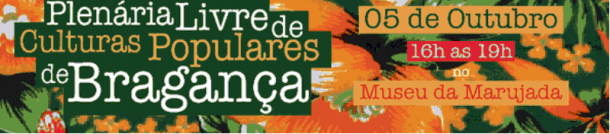 Arte Plenária Banner